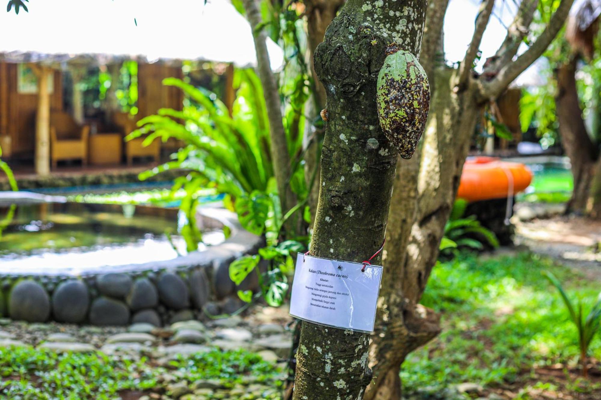 Omunity Bali Hotel Singaraja Eksteriør billede
