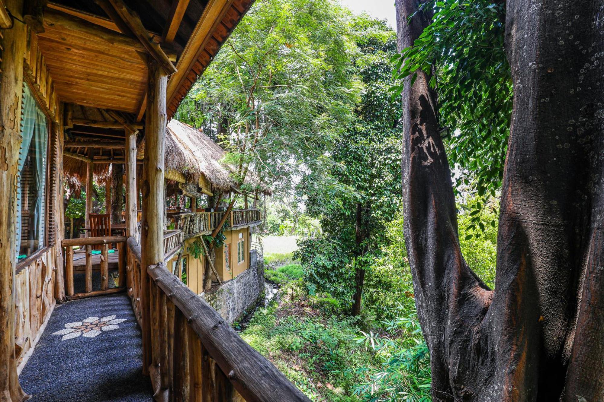 Omunity Bali Hotel Singaraja Eksteriør billede