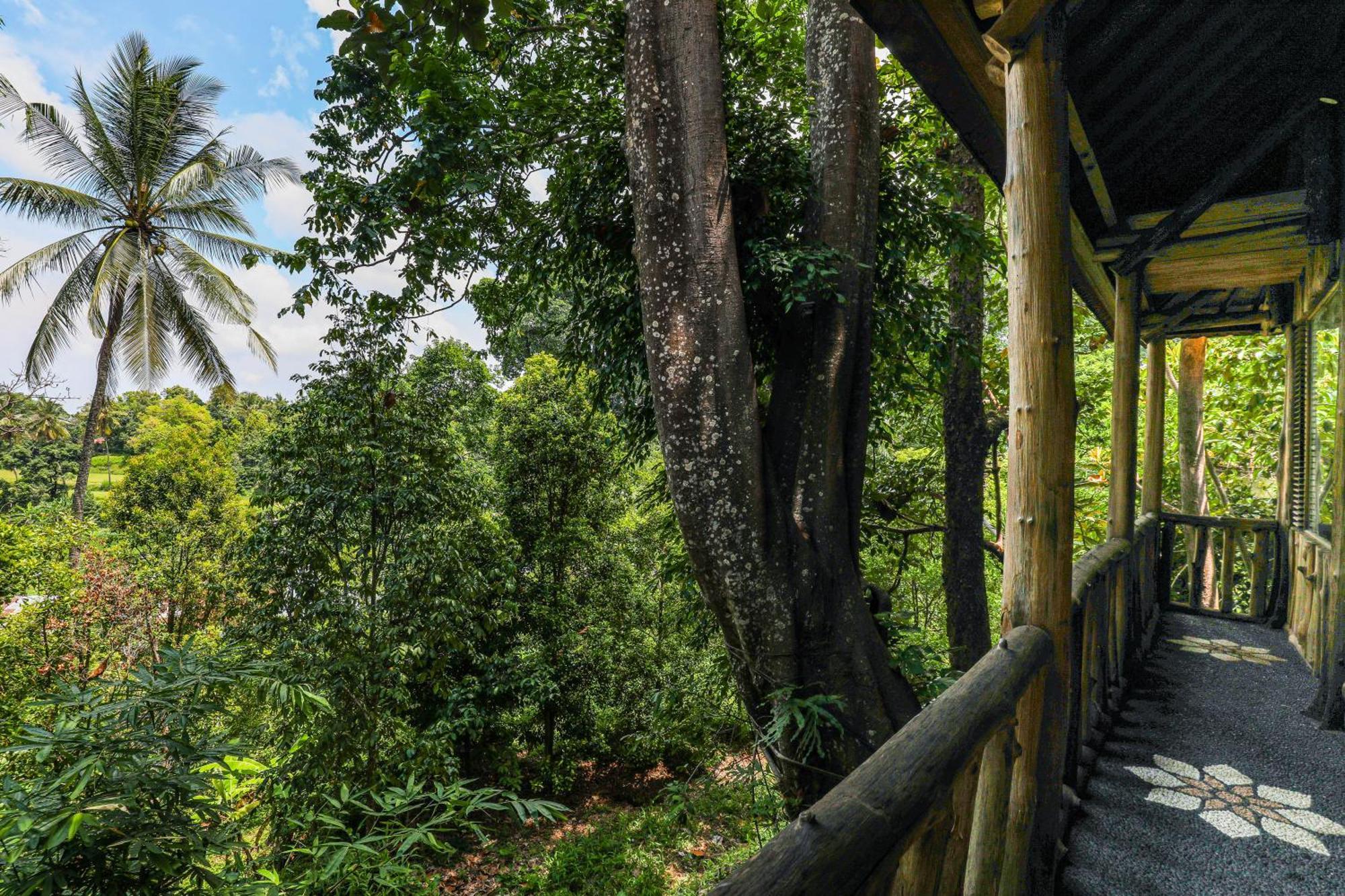 Omunity Bali Hotel Singaraja Eksteriør billede