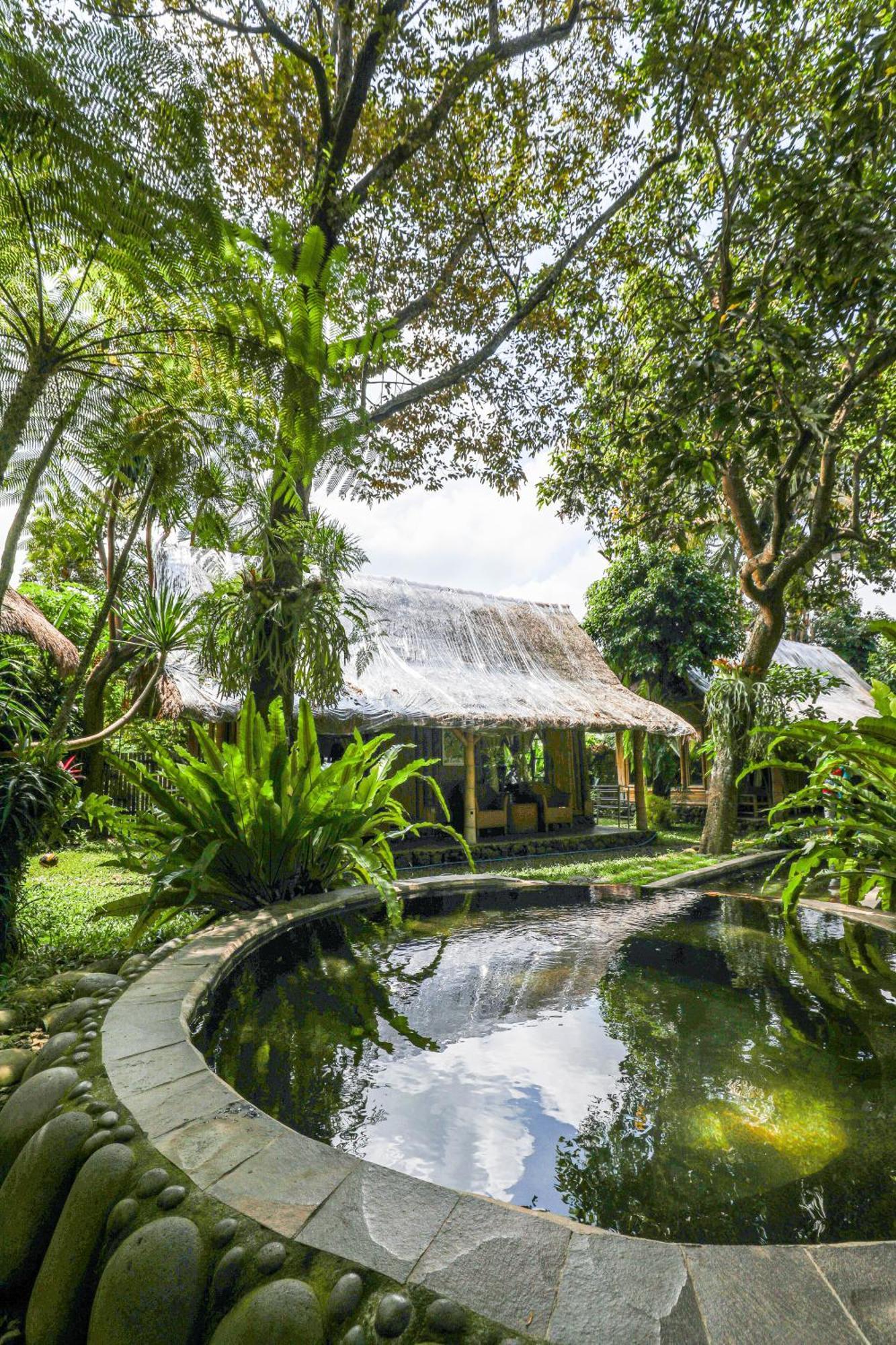 Omunity Bali Hotel Singaraja Eksteriør billede